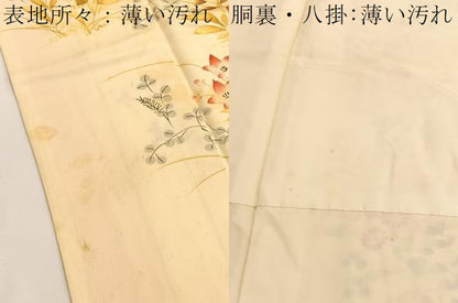 平和屋着物■訪問着　手描き　草花文　正絹　逸品　BAAW4827hv