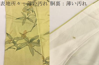 平和屋着物■上質な小紋　手描き　枝花文　暈し染め　正絹　逸品　BAAW4841hv