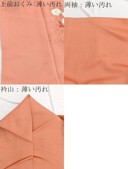 平和屋着物■訪問着　刺繍　籬菊文　金銀彩　正絹　逸品　BAAW4894hv