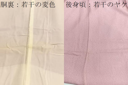 平和屋着物■上質な色無地　紋意匠　薄柿色　正絹　逸品　BAAW4905hv