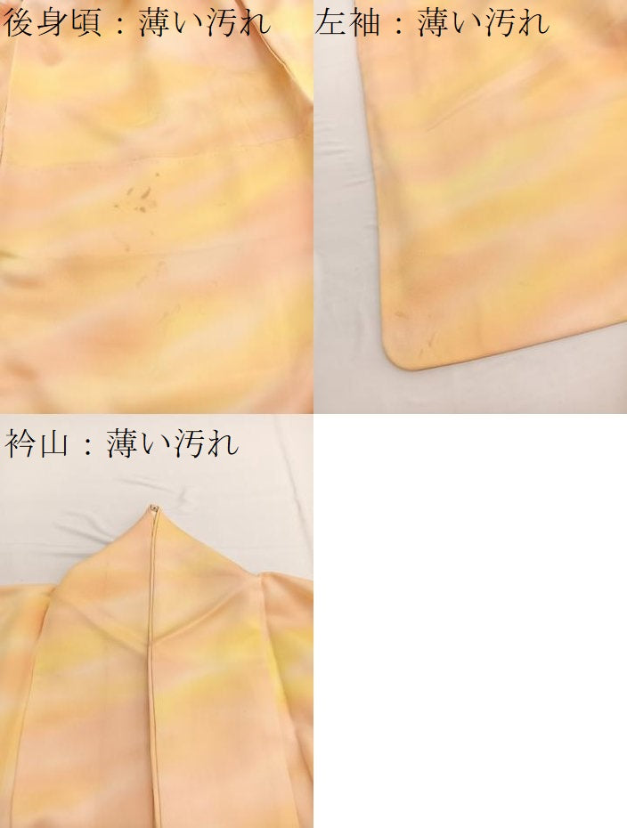 平和屋着物■訪問着　刺繍　孔雀　暈し染め　正絹　逸品　BAAW4993hv