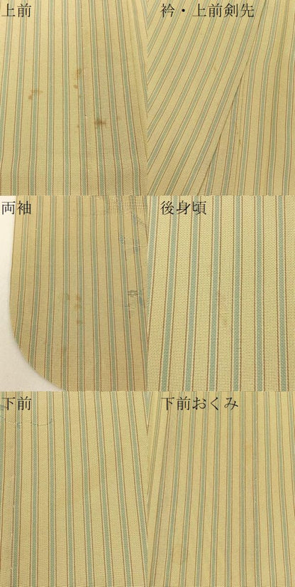 平和屋着物＊夏物 小紋 もじり織 草花文 間道 正絹 逸品 BAAW5073hj