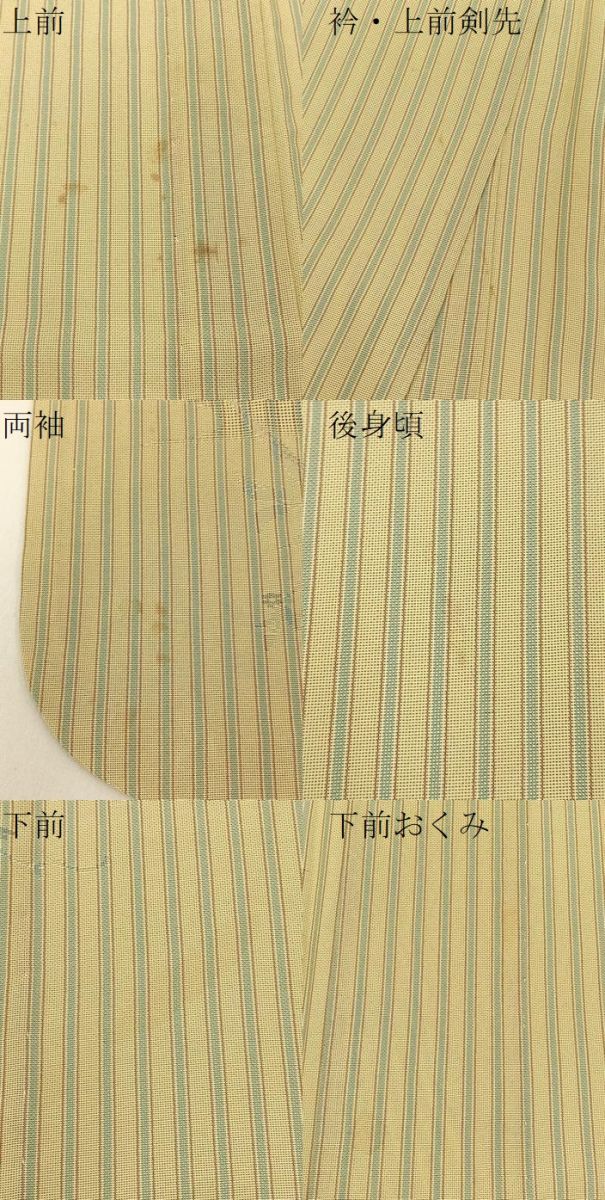 平和屋着物＊夏物 小紋 もじり織 草花文 間道 正絹 逸品 BAAW5073hj