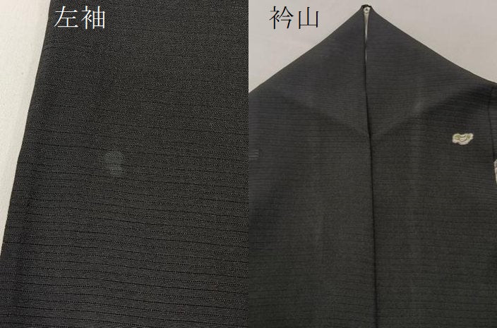 平和屋着物＊夏物 小紋 絽 花絵皿 成り物 黒緑色地 正絹 逸品 BAAW5075hj