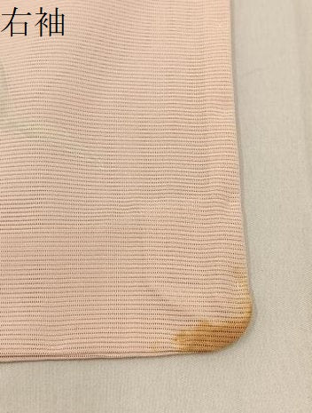 平和屋着物＊夏物 訪問着 絽 友禅 白椿に梅 暈し染め 正絹 逸品 未使用 BAAW5080hj