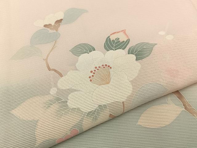 平和屋着物＊夏物 訪問着 絽 友禅 白椿に梅 暈し染め 正絹 逸品 未使用 BAAW5080hj