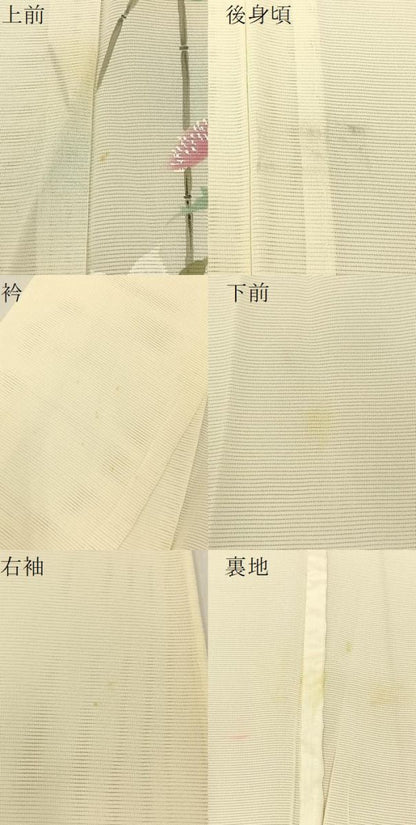 平和屋着物＊夏物 訪問着 絽 手描き 草花文 暈し染め 正絹 逸品 BAAW5087hj