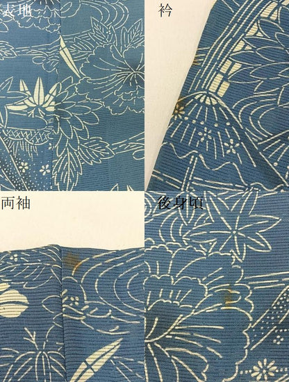 平和屋着物＊夏物 小紋 絽 藍 型染め 御所解文 正絹 逸品 BAAW5089hj