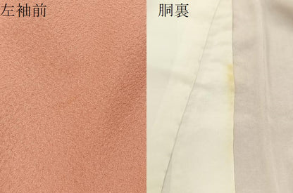 平和屋着物●上質な色無地 紋意匠 東雲色 正絹 逸品 未使用 BAAW5105hj