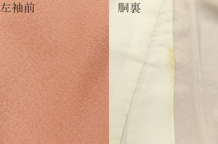 平和屋着物●上質な色無地 紋意匠 東雲色 正絹 逸品 未使用 BAAW5105hj