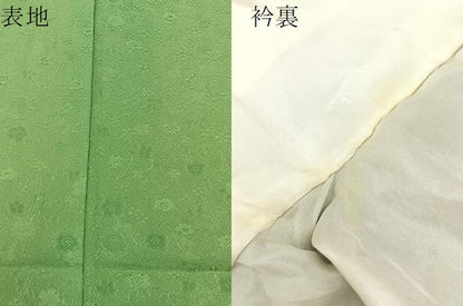 平和屋着物●上質な色無地 花地紋 薄萌黄色 やまと誂製 正絹 逸品 BAAW5184hj