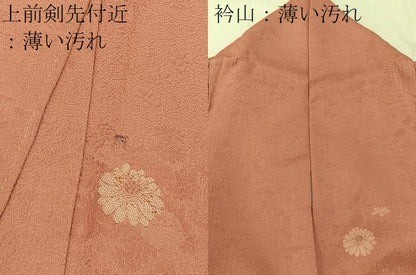 平和屋着物■上質な小紋 菊花文 金糸 正絹 逸品 BAAW5253hj