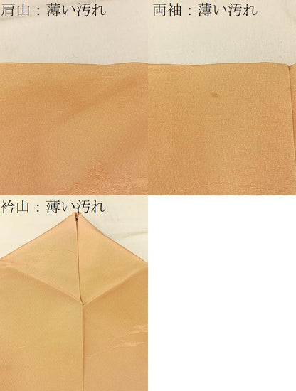 平和屋着物■上質な小紋 樹林地紋 暈し染め 正絹 逸品 BAAW5255hj