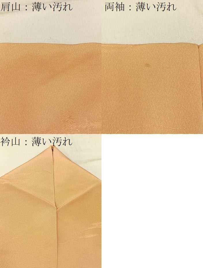 平和屋着物■上質な小紋 樹林地紋 暈し染め 正絹 逸品 BAAW5255hj