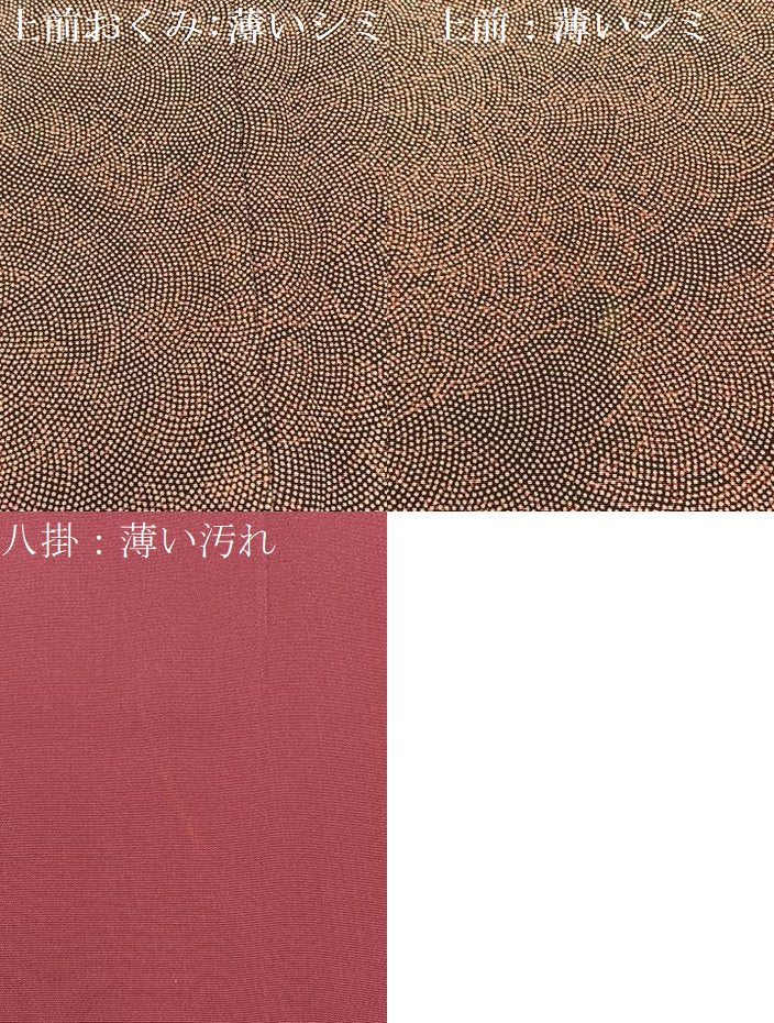 平和屋着物■江戸小紋 作家物 鮫小紋柄 正絹 逸品 BAAW5307hj