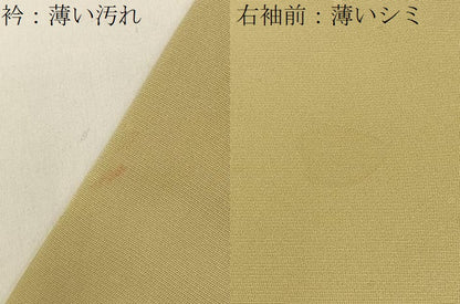 平和屋着物■訪問着 刺繍 葡萄蔦の葉文 金彩 正絹 逸品 BAAW5330hj