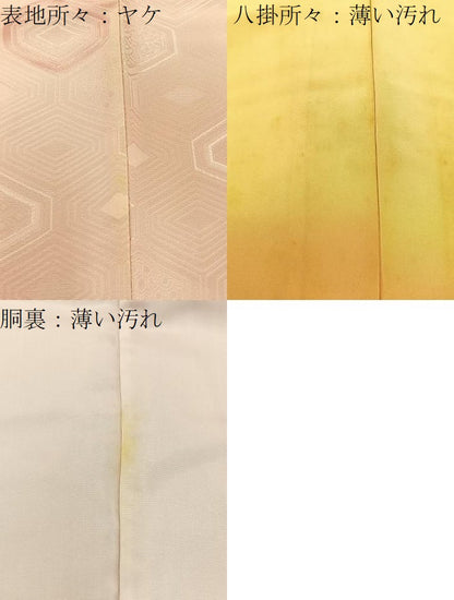 平和屋着物■上質な小紋 有職文 暈し染め 正絹 逸品 BAAW5556hj