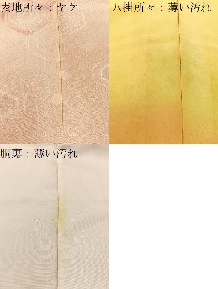平和屋着物■上質な小紋 有職文 暈し染め 正絹 逸品 BAAW5556hj
