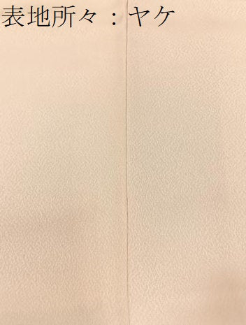 平和屋着物■訪問着 地紙枝花文 暈し染め 正絹 逸品 BAAW5573hj