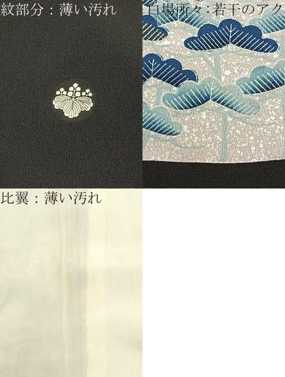 平和屋着物■豪華黒留袖　花鳥文　金彩　正絹　逸品　BAAW5583hj