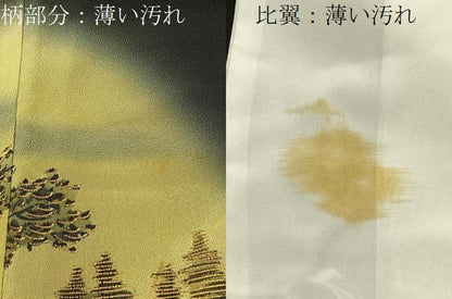 平和屋着物■豪華黒留袖　刺繍　浜松文　暈し染め　金彩　正絹　逸品　BAAW5598hj