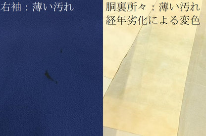 平和屋着物■訪問着 手描き 鴛鴦花文 暈し染め 金彩 正絹 逸品 BAAW5611hj
