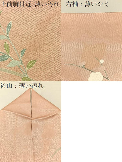平和屋着物■訪問着 道長枝花文 暈し染め 金彩 正絹 逸品 BAAW5654hj