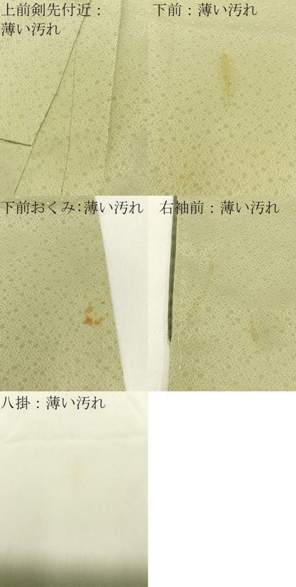 平和屋着物■豪華色留袖 寿光織 樹林文 金糸 正絹 逸品 BAAW5687hj