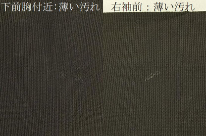 平和屋着物■男性 お召 縞 正絹 逸品 BAAW5740hj