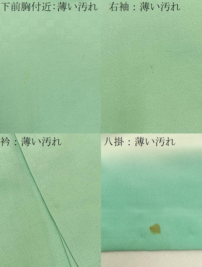 平和屋着物■無地絵羽訪問着 向かい鳳凰花地紋 薄萌葱色 正絹 逸品 BAAW5747hj