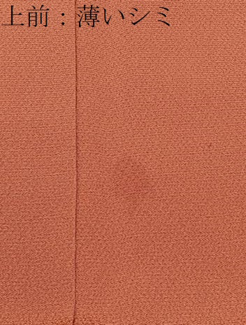 平和屋着物■上質な小紋　椿　金彩　鬼しぼ縮緬　正絹　逸品　BAAW5775hj