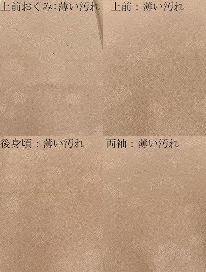 平和屋着物■上質な色無地　菊地紋　薄柿色　正絹　逸品　BAAW5781hj