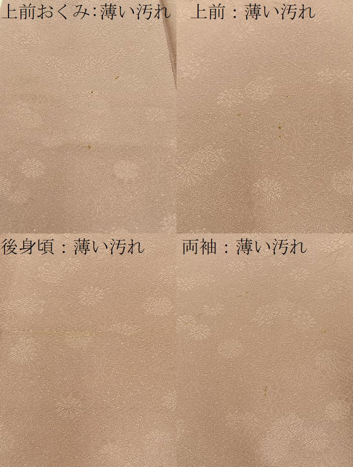平和屋着物■上質な色無地　菊地紋　薄柿色　正絹　逸品　BAAW5781hj