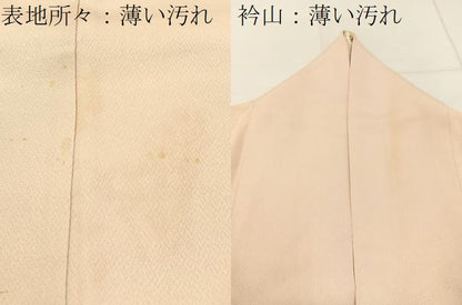 平和屋着物■豪華色留袖　駒刺繍　御所解文　金彩　正絹　逸品　BAAW5799hj