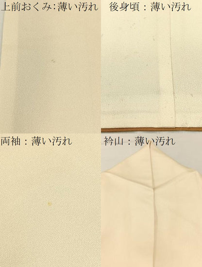 平和屋着物■訪問着　カトレア　金彩　正絹　逸品　BAAW5835hj