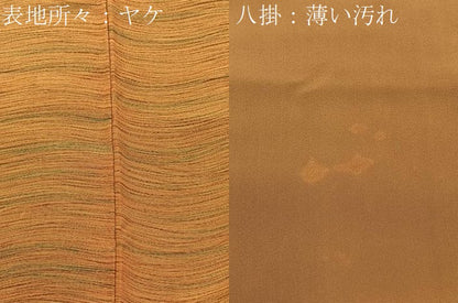 平和屋着物■上質な小紋　横縞　正絹　逸品　BAAW5870hj