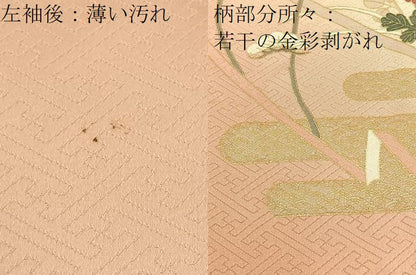 平和屋着物■訪問着　刺繍　冊子エ霞花文　暈し染め　金彩　鈴乃屋扱い　正絹　逸品　BAAW5910hj