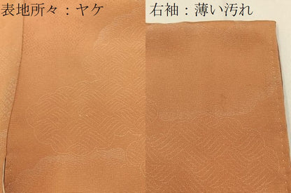 平和屋着物■上質な小紋 雲取花文 正絹 逸品 BAAW5938hj