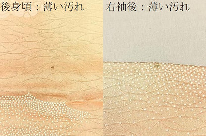 平和屋着物■上質な小紋　花蝶文　暈し染め　金彩　正絹　逸品　BAAW5942hj