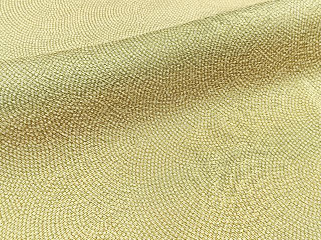 平和屋着物●訪問着　江戸小紋　鮫小紋柄　暈し染め　正絹　逸品　BAAW5976hj