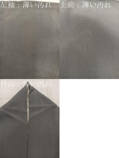 平和屋着物■色留訪問着　枝楓文　金彩　正絹　逸品　BAAW6097mz
