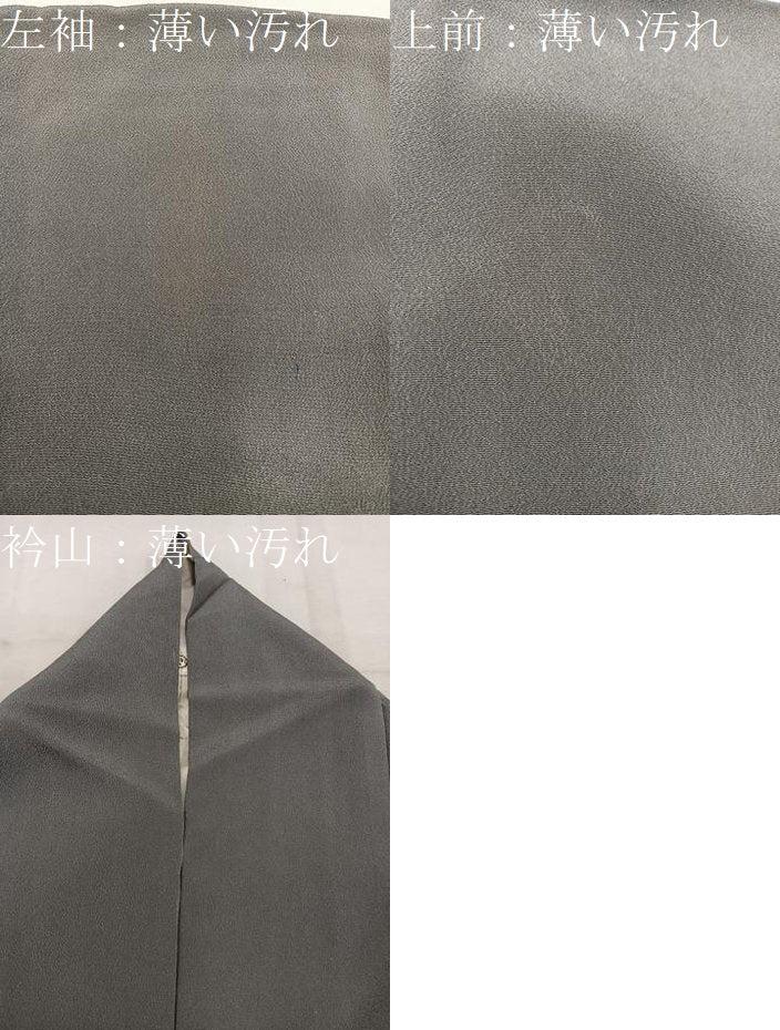 平和屋着物■色留訪問着　枝楓文　金彩　正絹　逸品　BAAW6097mz