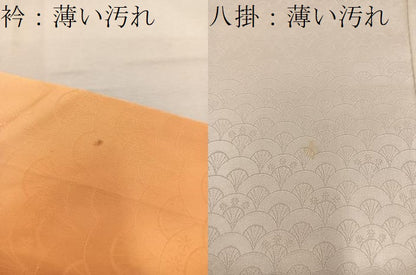平和屋着物■上質な小紋 青海波花地紋 暈し染め 正絹 逸品 BAAW6116mz