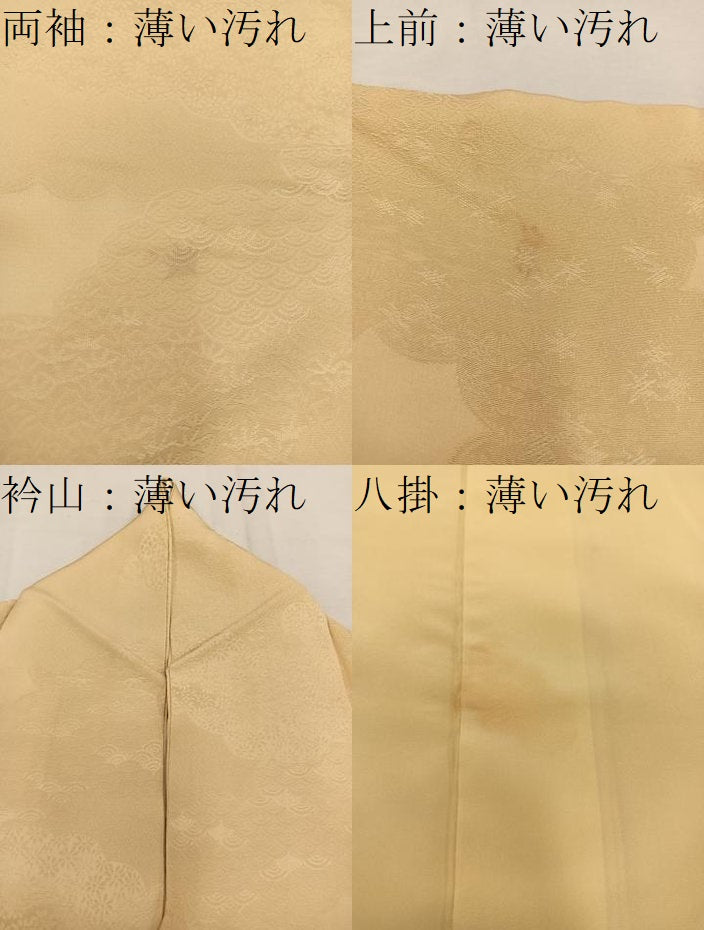 平和屋着物■上質な色無地 雲重ね花地紋 卵色 正絹 逸品 BAAW6134mz