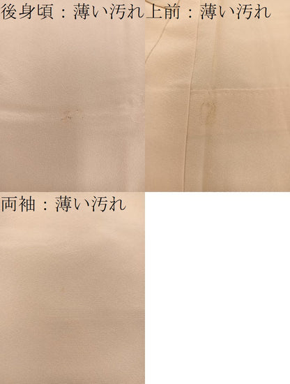 平和屋着物■訪問着 友禅 枝花文 正絹 逸品 BAAW6165mz