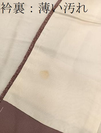 平和屋着物■江戸小紋 鮫小紋柄 正絹 逸品 BAAW6166mz