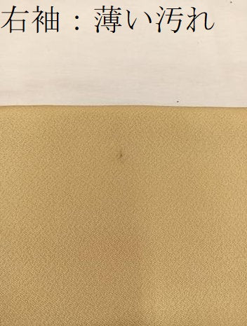 平和屋着物■訪問着　雲取り文　暈し染め　正絹　逸品　BAAW6169mz