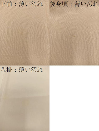 平和屋着物■訪問着 刺繍 文箱菊花文 金銀彩 正絹 逸品 BAAW6205mz