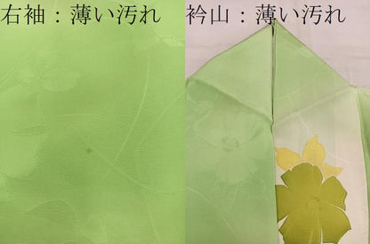 平和屋着物■上質な小紋 地紋起こし 草花文 暈し染め 正絹 逸品 BAAW6219mz