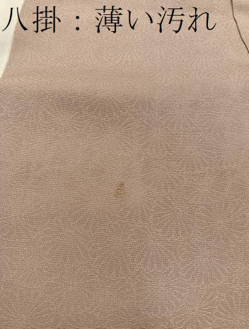 平和屋着物■訪問着 枝花文 地紋起こし 暈し染め 正絹 逸品 BAAW6305mz